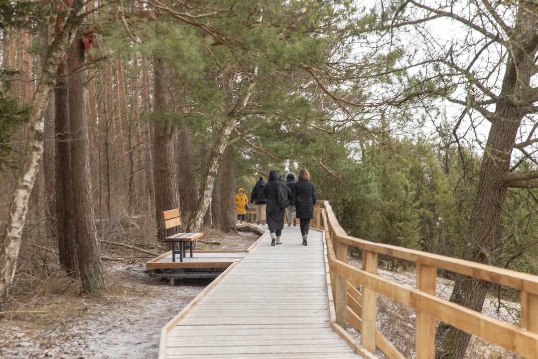 Kadagių slėnyje - lankytojų gausa