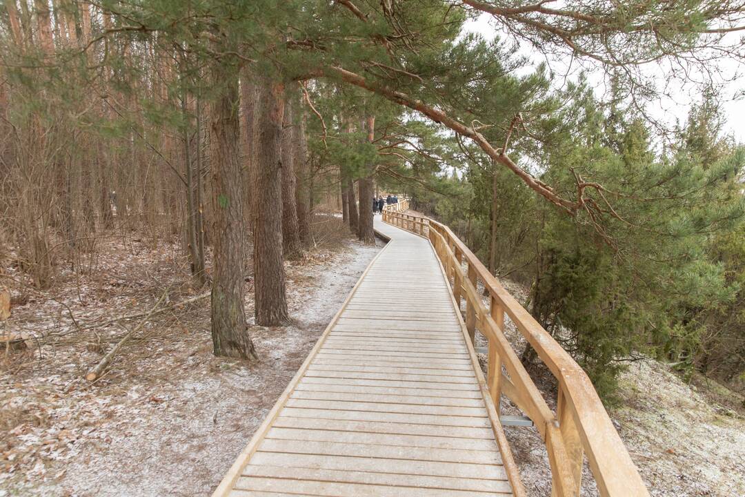 Kadagių slėnyje - lankytojų gausa