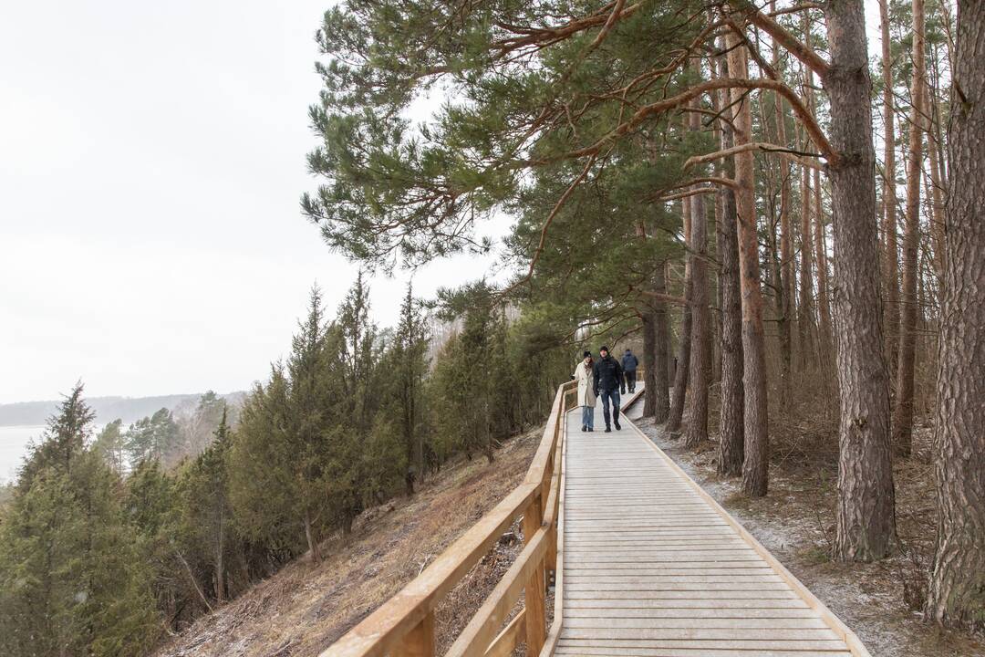 Kadagių slėnyje - lankytojų gausa