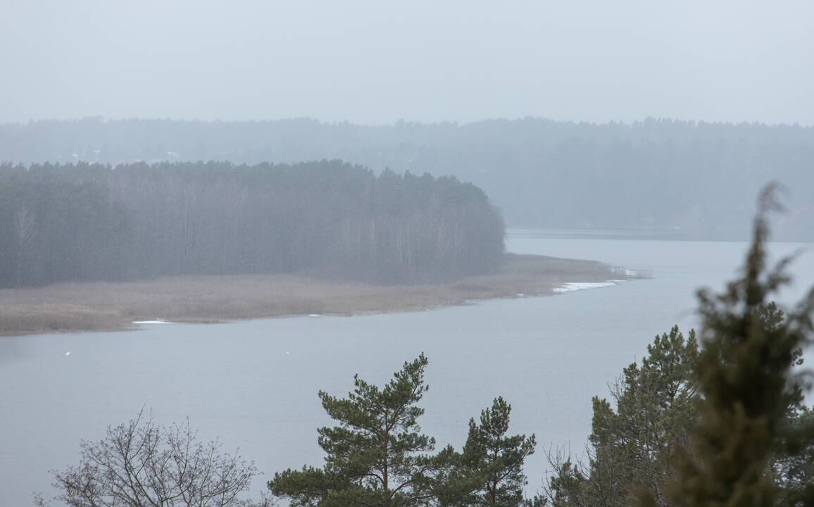 Kadagių slėnyje - lankytojų gausa