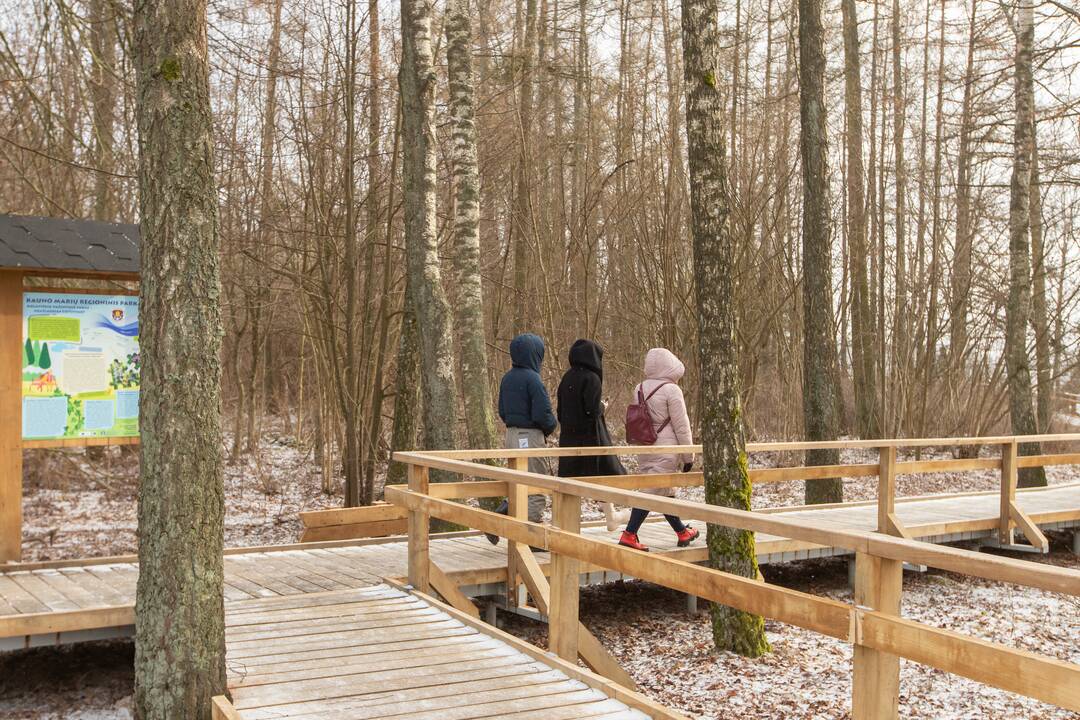 Kadagių slėnyje - lankytojų gausa