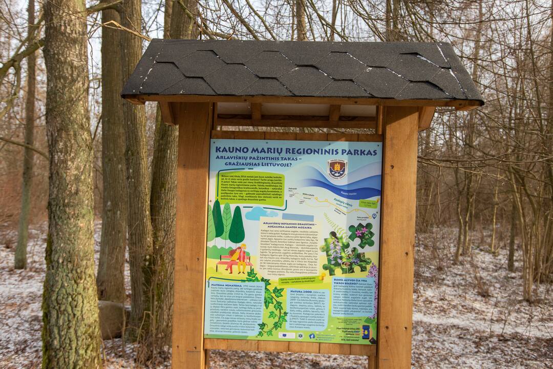 Kadagių slėnyje - lankytojų gausa