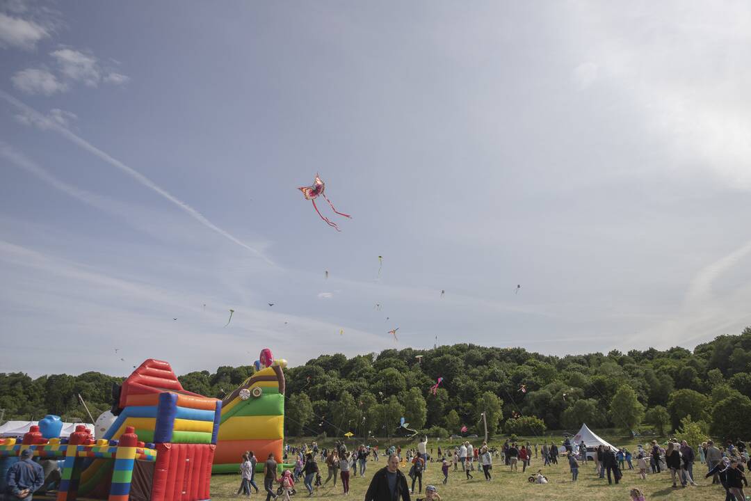 Aitvarų festivalis Zapyškyje (2023)