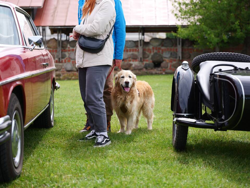 Automobilių paroda „Classic Auto Show Kaunas 2025“