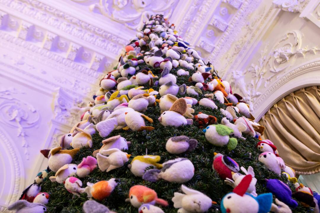 Prezidentūros Kalėdų eglutės įžiebimas