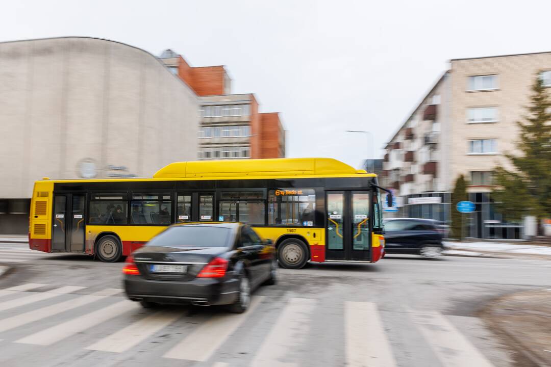 Šiauliai ruošiasi rinkimams