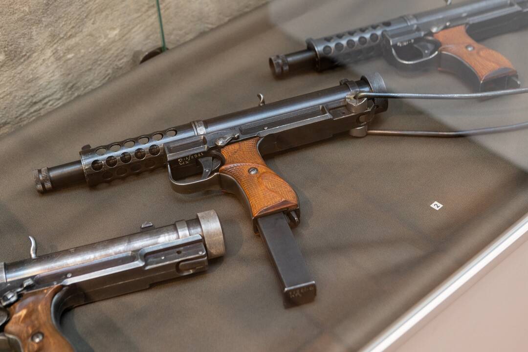 Ginklų paroda KAM