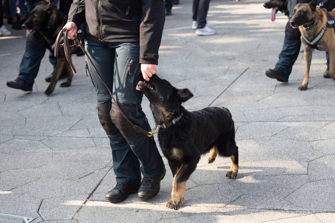Policijos šventė Kaune