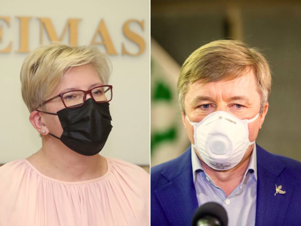 Premjerė atsakė R. Karbauskiui, ar priims šešėlinės Vyriausybės pagalbą