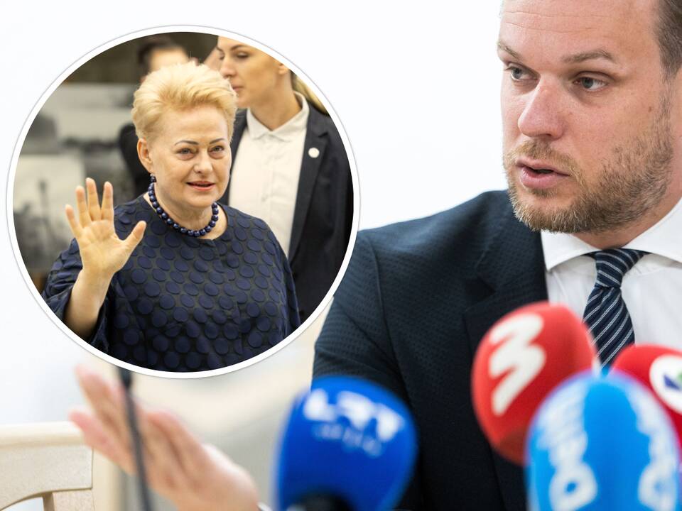 G. Landsbergis tikina, kad neįsižeidė dėl D. Grybauskaitės žodžių apie „drebinamas kinkas“
