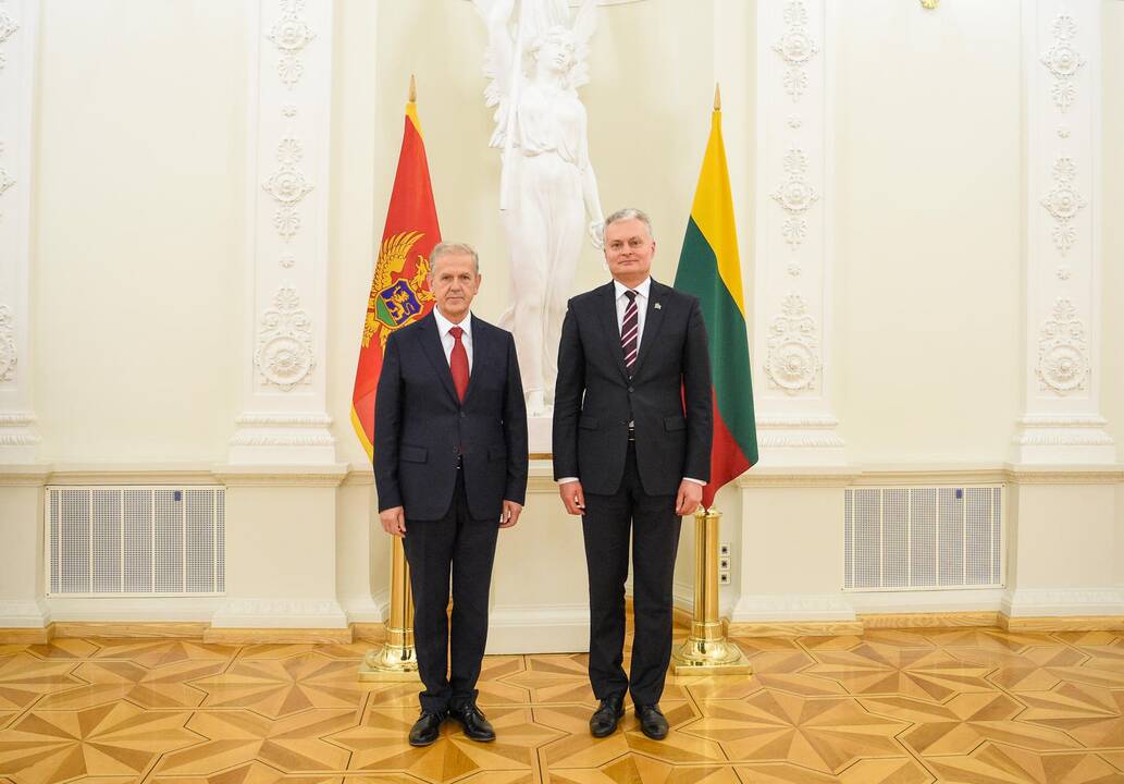 Prezidentas priėmė ambasadorių skiriamuosius raštus