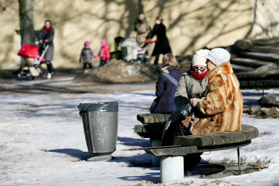 Ryškesnio orų atšilimo teks palaukti