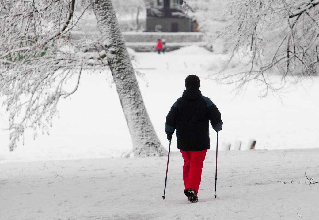 Orai vis labiau primins tikrą žiemą