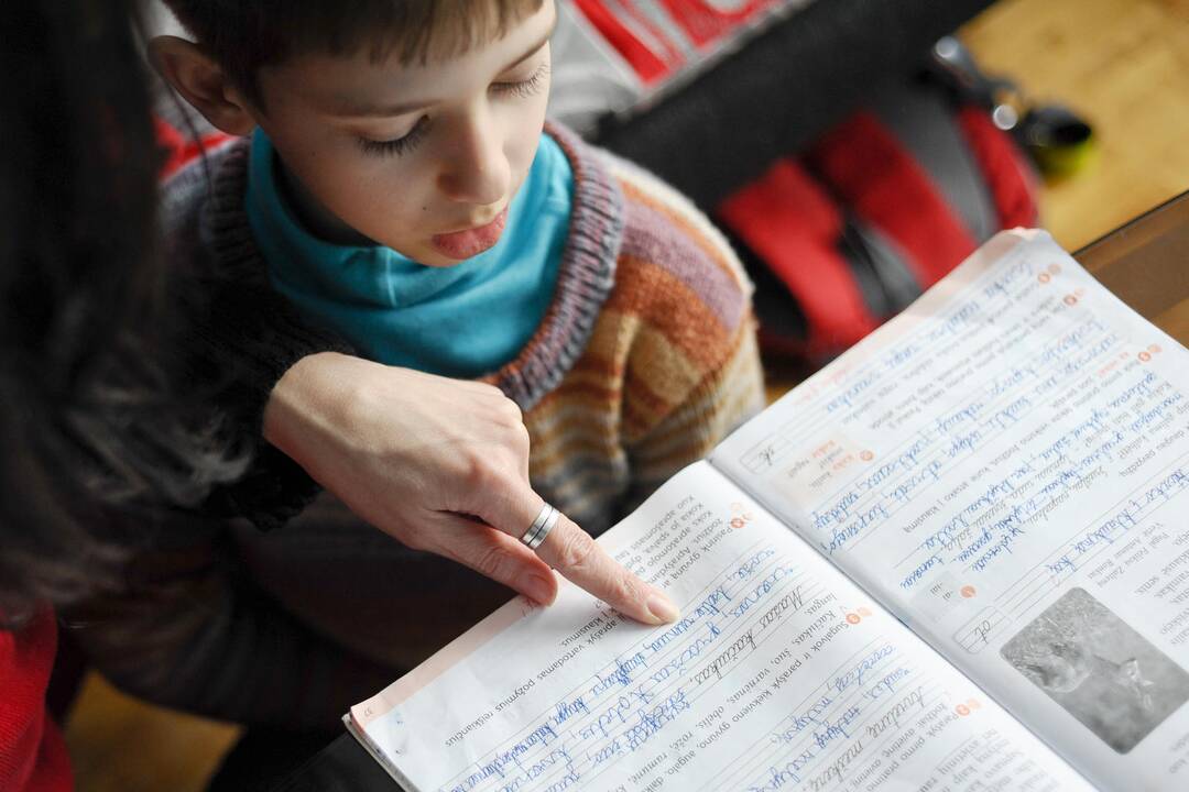 Ministerija skyrė per 100 tūkst. eurų lituanistinėms mokykloms
