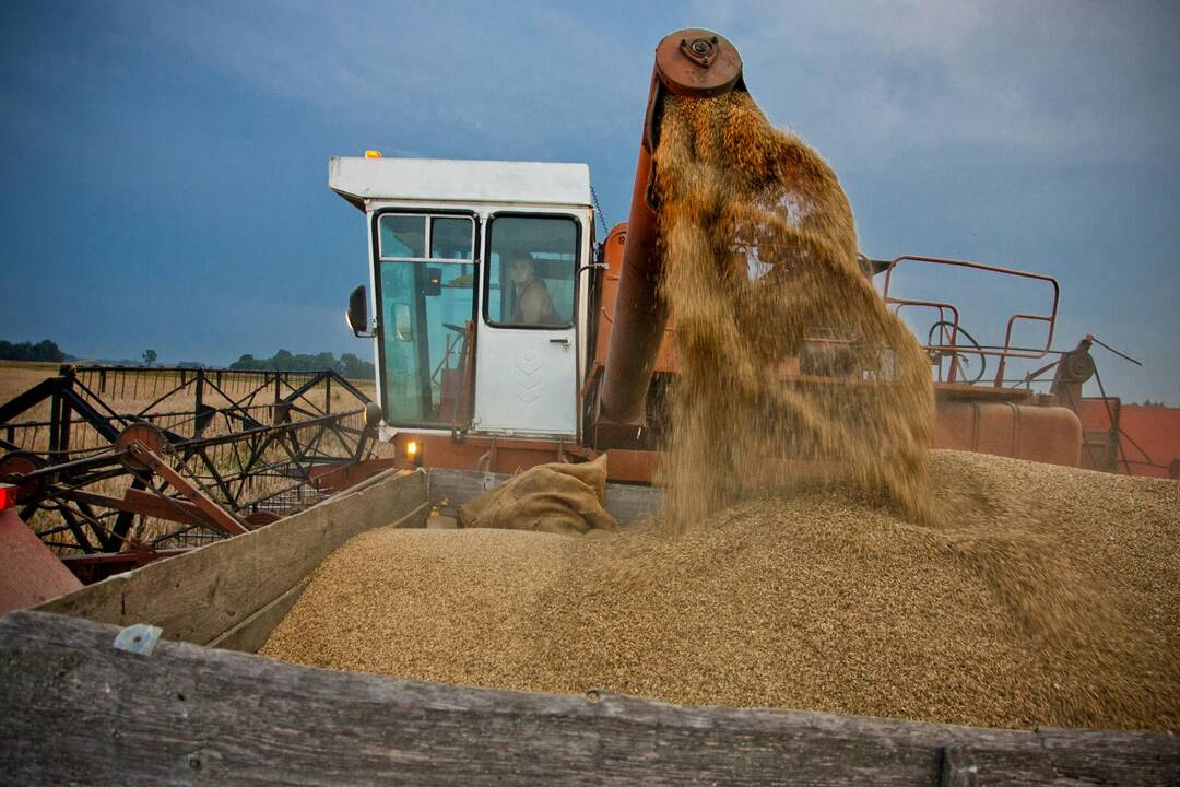 „Agrowill Group“ dėl Rusijos sankcijų restruktūrizavimo nestabdo