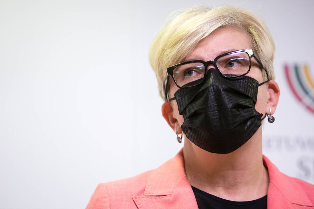 I. Šimonytė: didžiausią žalą Lietuvos reputacijai daro kalbantys apie žalą reputacijai