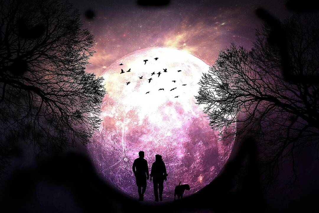 Dienos horoskopas 12 Zodiako ženklų (kovo 4 d.)