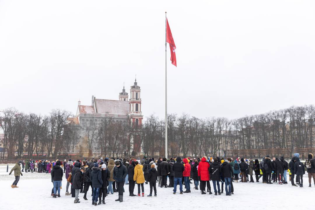 Lukiškių aikštėje – pieva neužmirštuolių