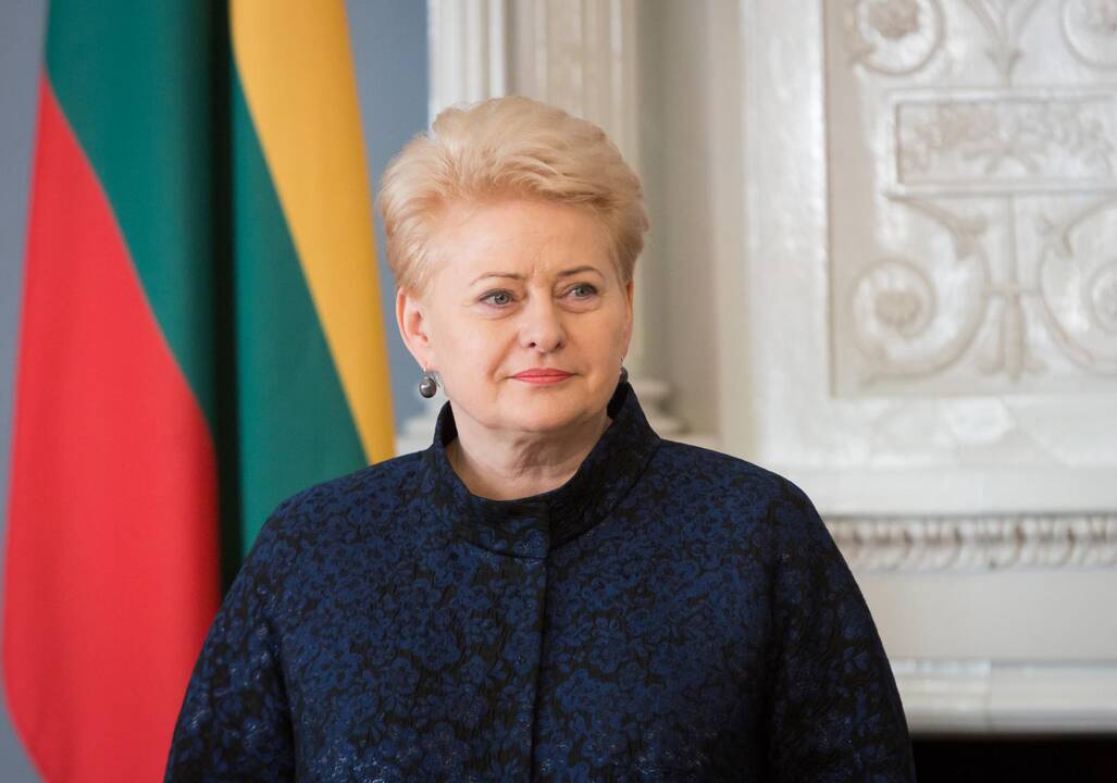 D. Grybauskaitė: Lietuvos Achilo kulnas – politikų rietenos (interviu)