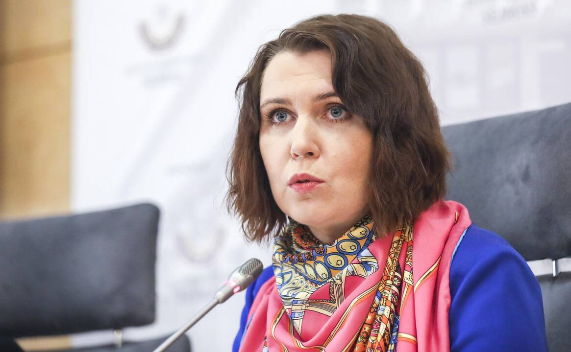 D. Šakalienė apie R. Žemaitaičio atstatydinimą: eilinė „valstiečių“ vendeta