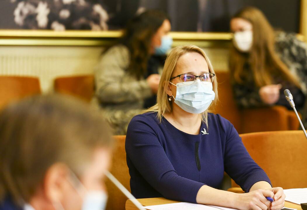 „Valstiečiai“ pristatė šešėlinę Vyriausybę