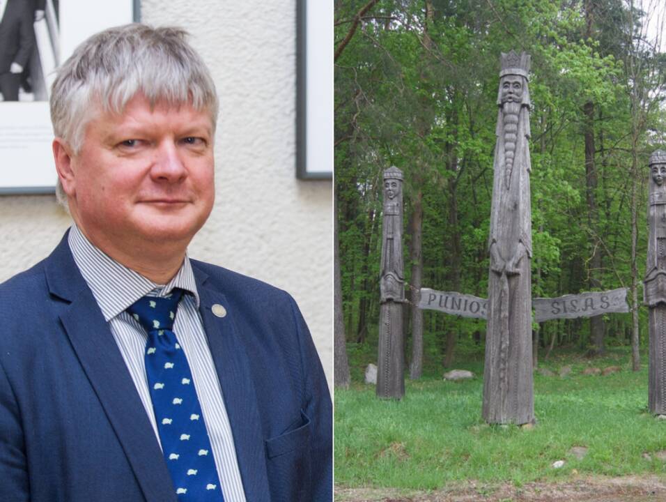 Byla dėl Punios šilo: ministerija taps atsakove, buvęs ministras – liudytoju