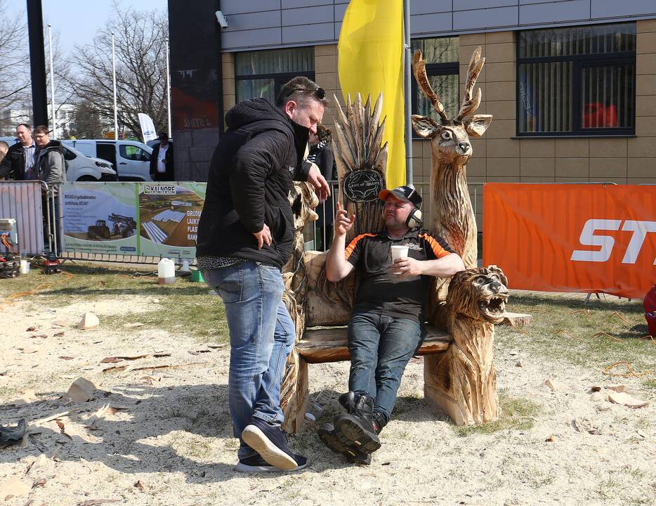 Drožybos pjūklais čempionatas „Plieno bebrai“