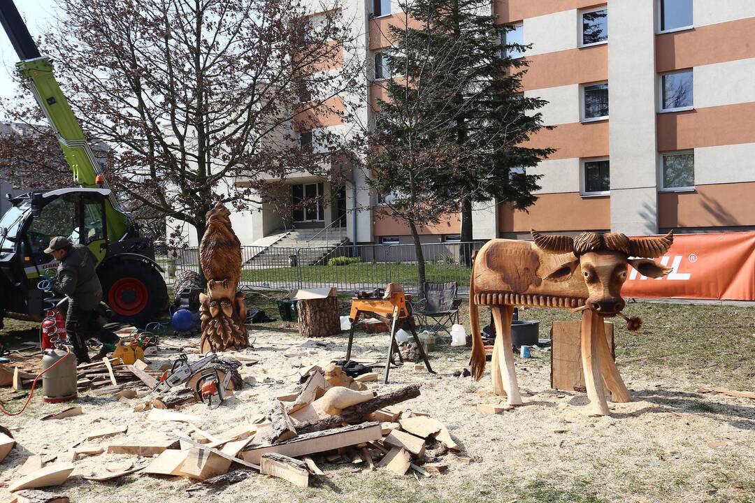 Drožybos pjūklais čempionatas „Plieno bebrai“