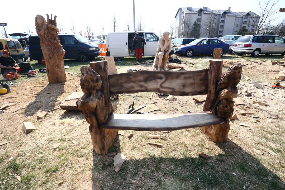 Drožybos pjūklais čempionatas „Plieno bebrai“