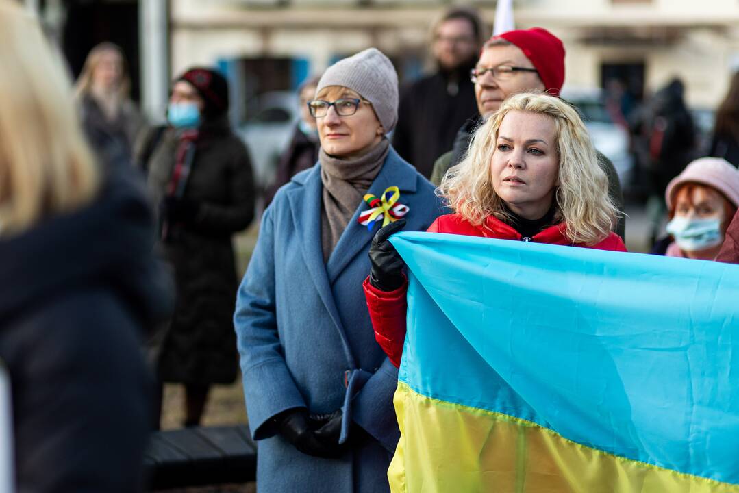 Ekspertė: Ukrainai stojant į ES, politinė valia gali lemti labai daug