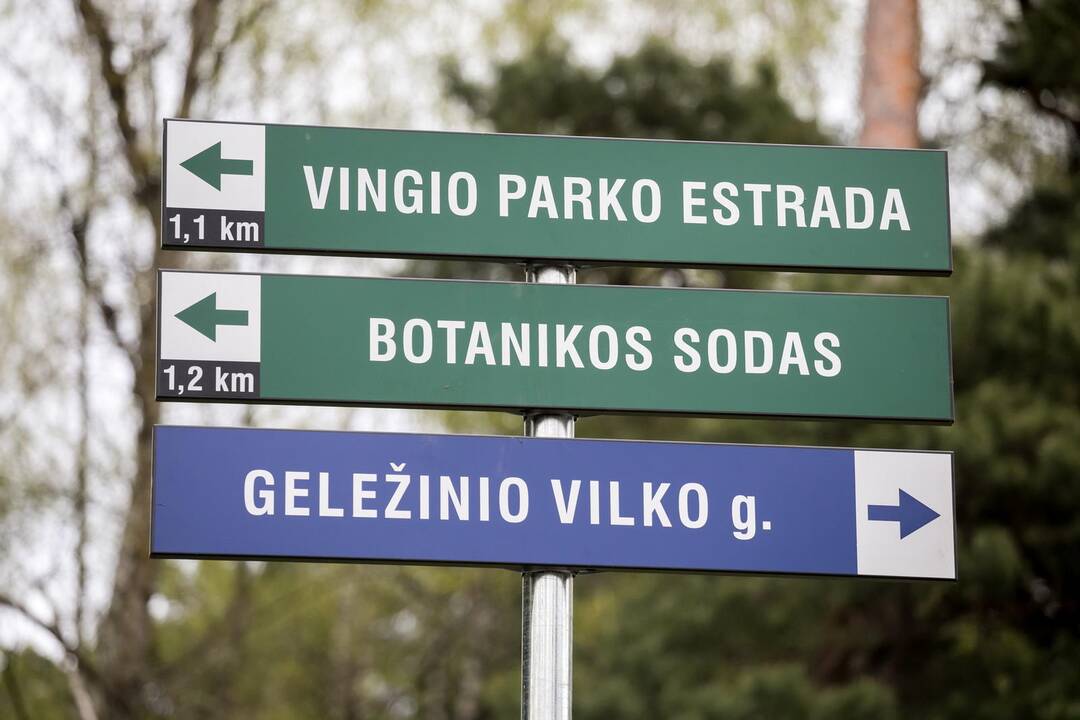 Vingio parke atsirado grilio zona