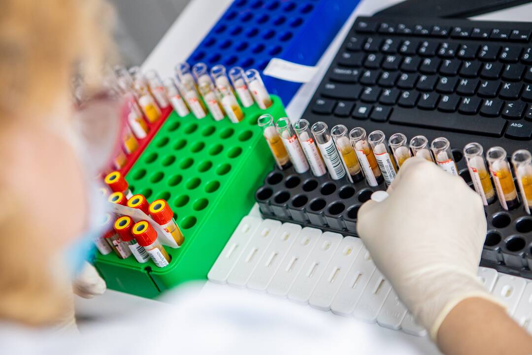 Statistika: per pastaruosius trejus metus į Klaipėdą pritraukta 20 aukštos kvalifikacijos specialistų, kuriems savivaldybė kompensavo išlaidas už būsto nuomą.