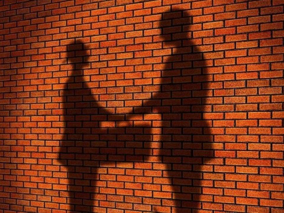 Politikų žaidimai po stalu dėl VIP lėšų