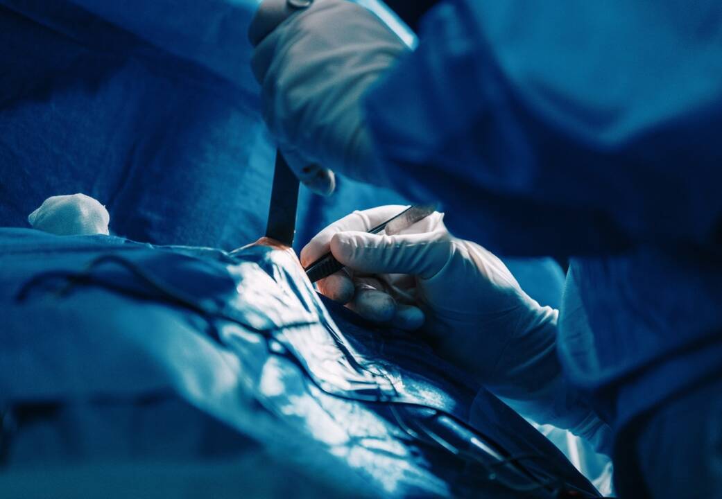 Reta liga susirgusi Astutė vėl džiaugiasi visaverčiu gyvenimu: ištvėrė tris operacijas