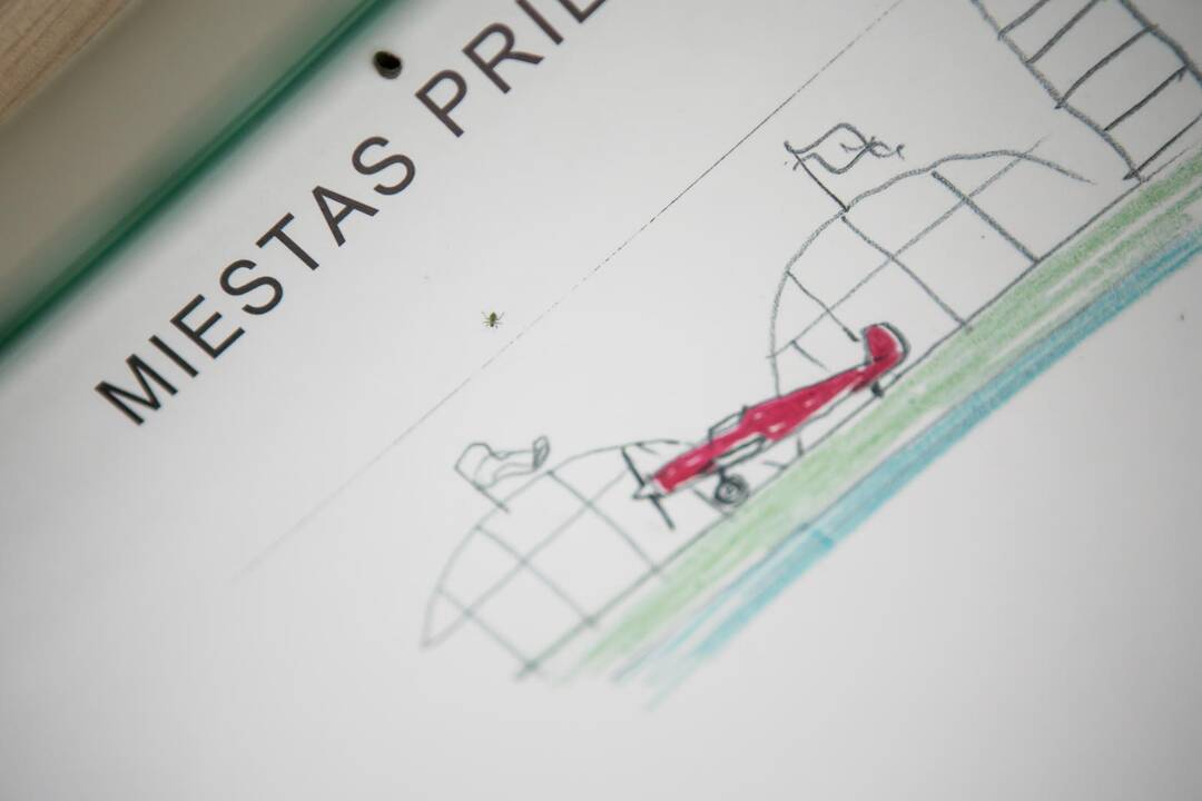 Kauno savivaldybėje pristatytas Nemuno salos detalusis planas