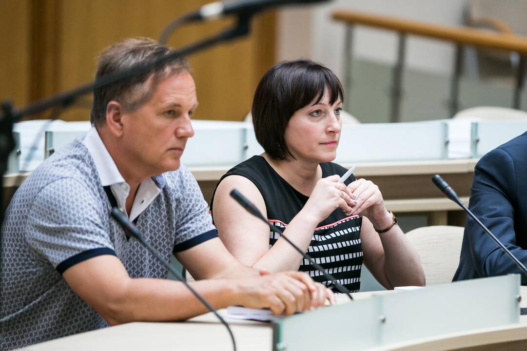 Kauno savivaldybėje pristatytas Nemuno salos detalusis planas