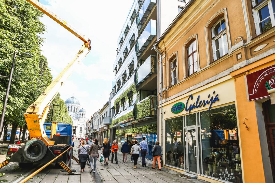 Laisvės alėjos rekonstrukcija: verslininkai nebetiki, bet laukia