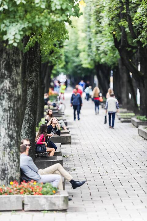 Laisvės alėjos rekonstrukcija: verslininkai nebetiki, bet laukia