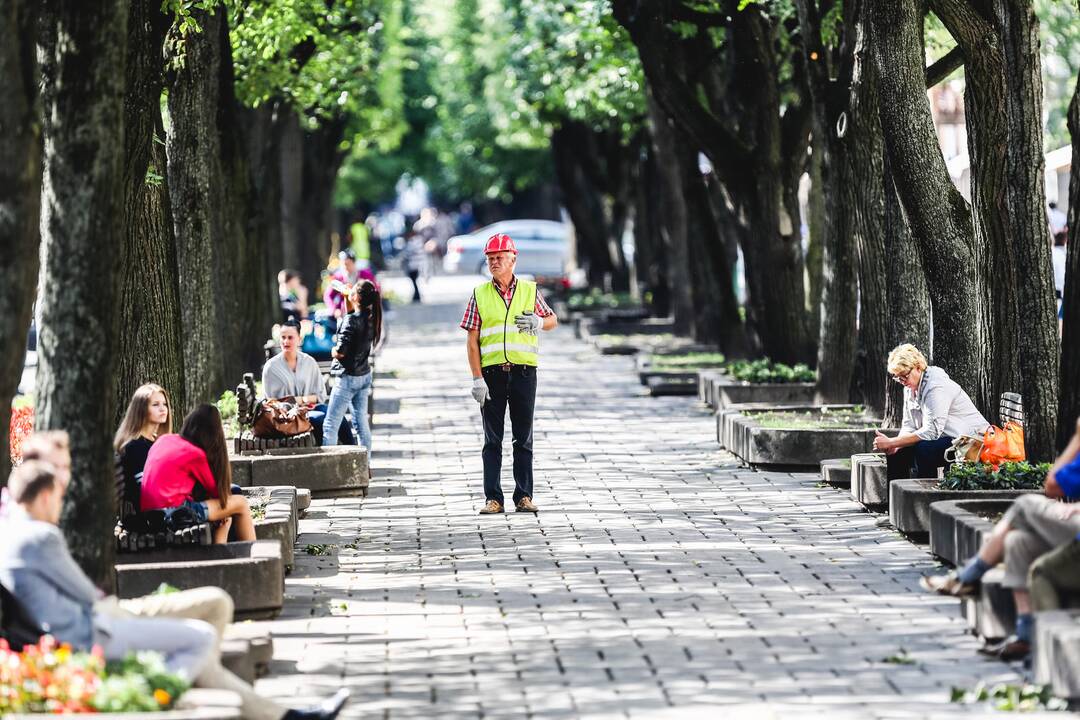 Laisvės alėjos rekonstrukcija: verslininkai nebetiki, bet laukia