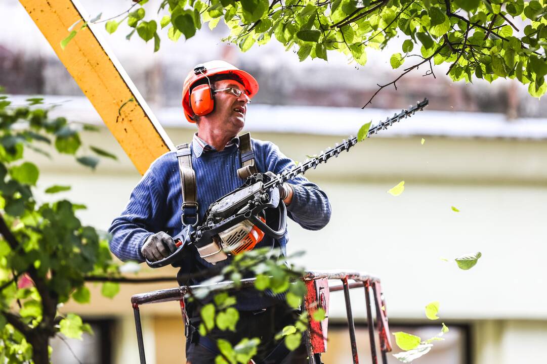 Laisvės alėjos rekonstrukcija: verslininkai nebetiki, bet laukia