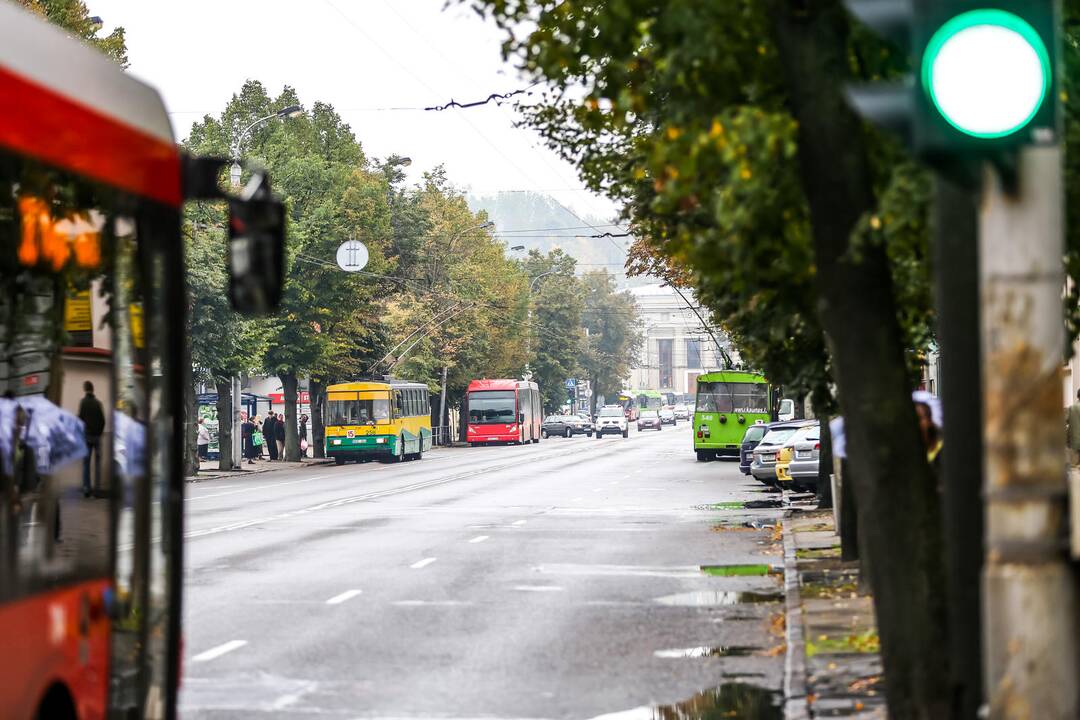 Pasivaikščiojimas po Vytauto prospektą