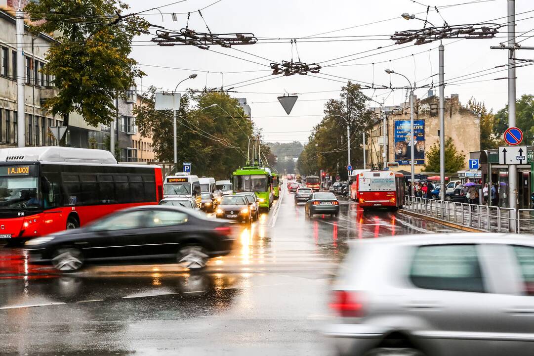 Pasivaikščiojimas po Vytauto prospektą