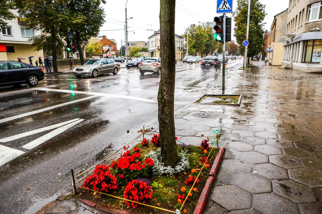 Pasivaikščiojimas po Vytauto prospektą
