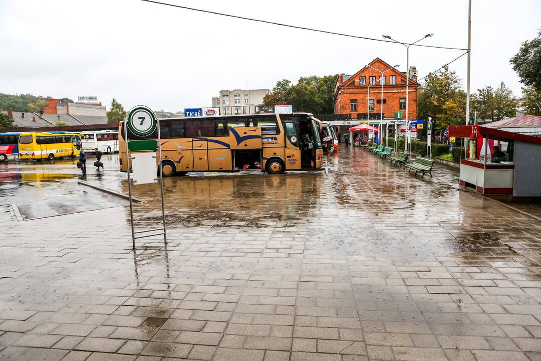 Pasivaikščiojimas po Vytauto prospektą