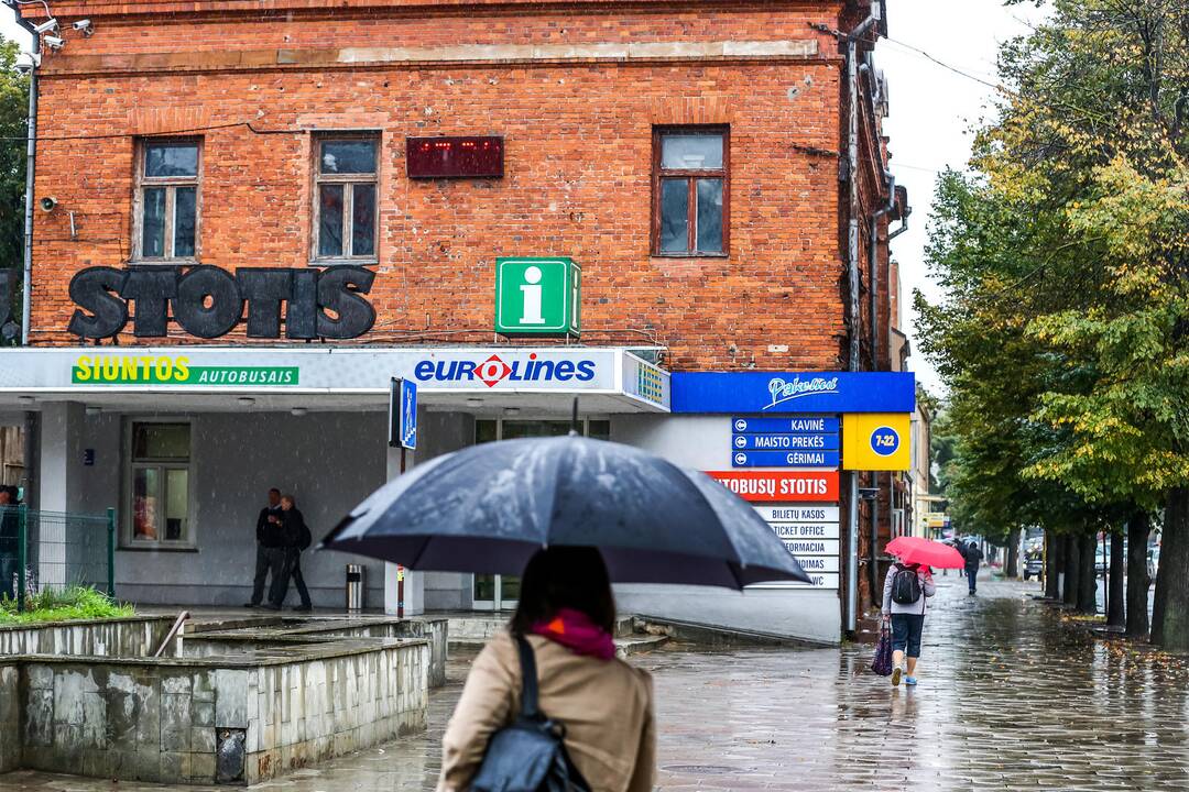 Pasivaikščiojimas po Vytauto prospektą