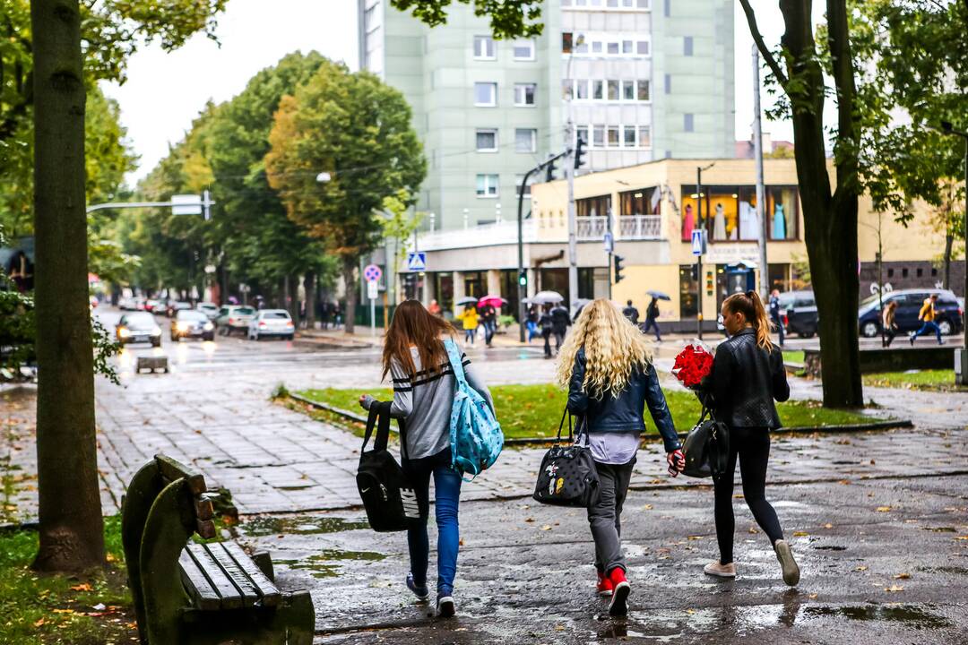 Pasivaikščiojimas po Vytauto prospektą