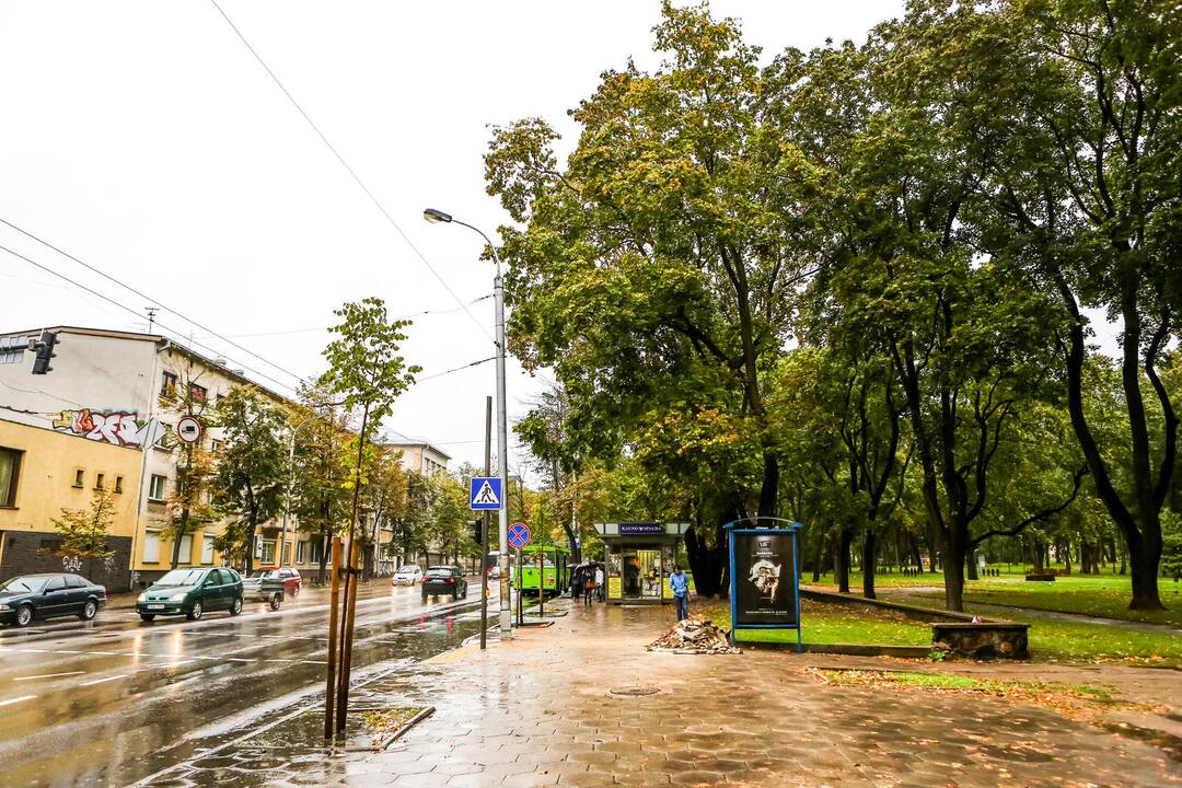 Pasivaikščiojimas po Vytauto prospektą