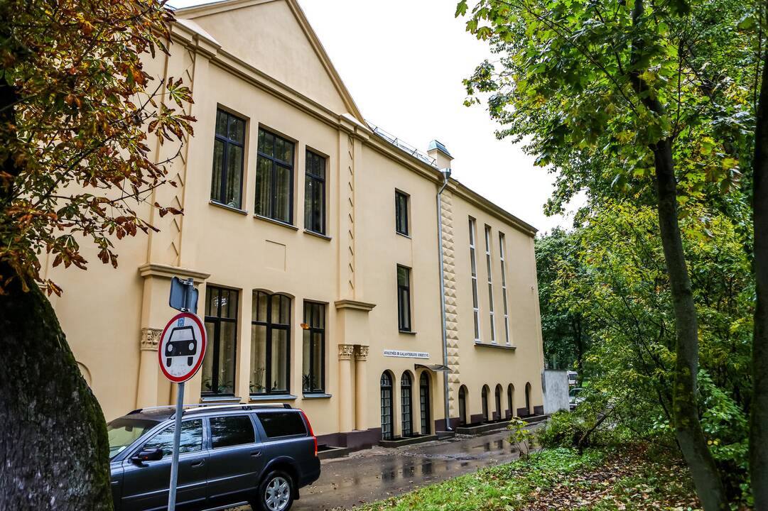 Pasivaikščiojimas po Vytauto prospektą