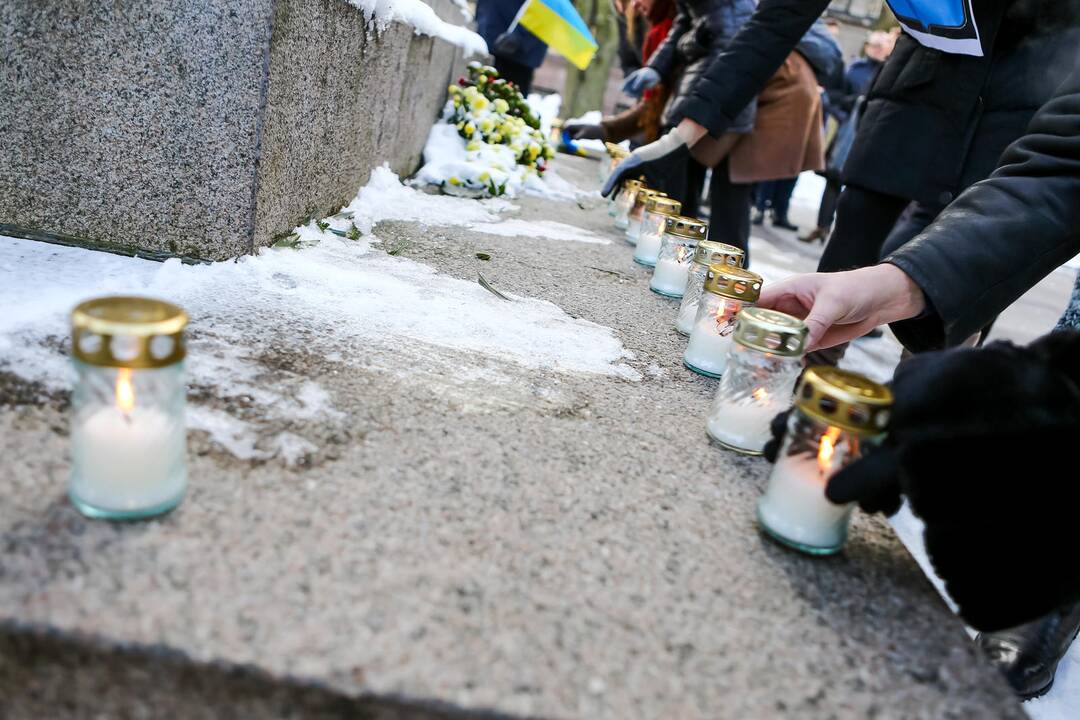 Ukrainos palaikymo akcija Kaune