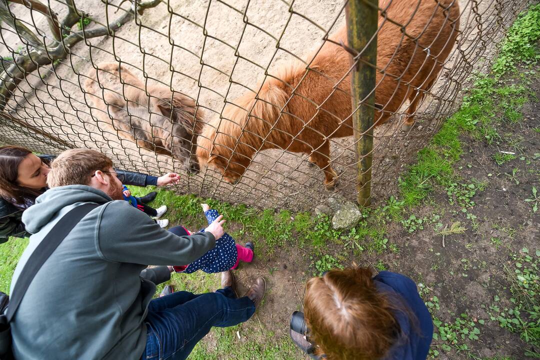 Zoologijos sodo sezono atidarymas